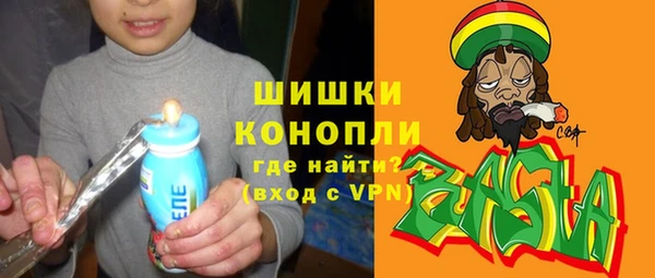 стаф Семилуки