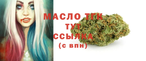 крисы Армянск