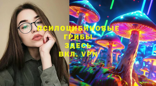крисы Армянск
