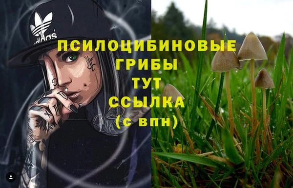 прущая мука Арсеньев