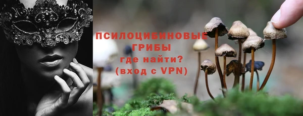 прущая мука Арсеньев