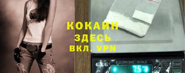 стаф Семилуки