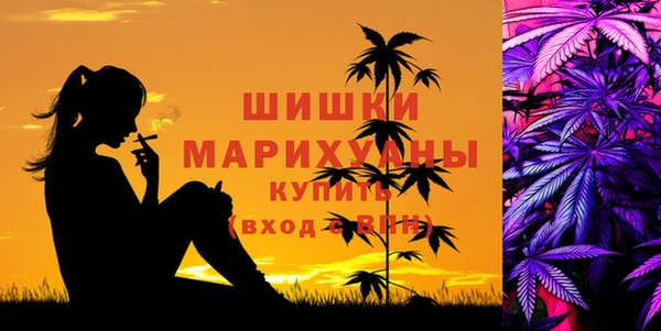 стаф Семилуки