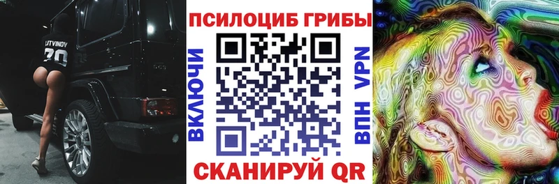 наркотики  Малмыж  Галлюциногенные грибы мицелий 