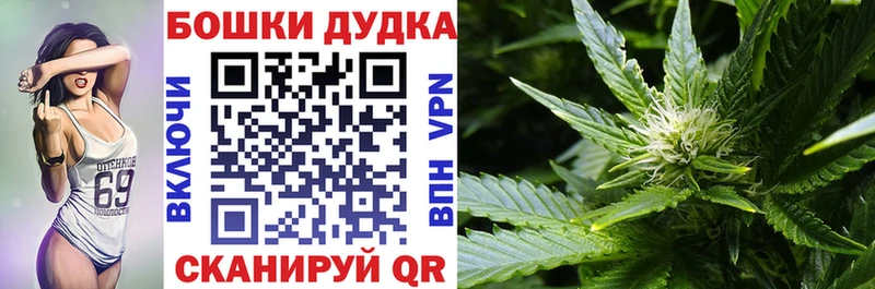 Марихуана AK-47  где купить   блэк спрут вход  Малмыж 